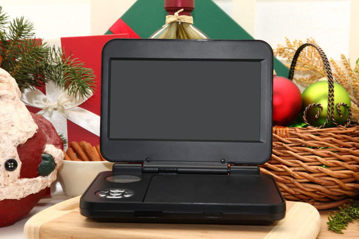 Portable dvd player outside