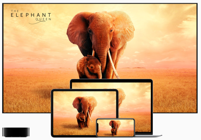 The Elephant Queen on Apple TV Plus