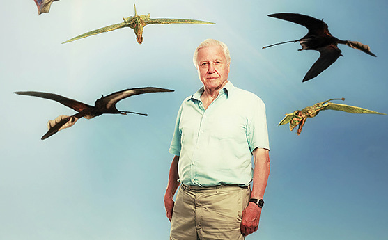 David Attenborough's Flying Monsters sky docomentary