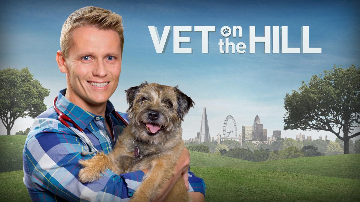 Vet on the Hill