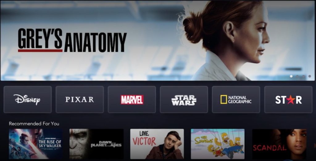 Disney Plus Star grey's anatomy