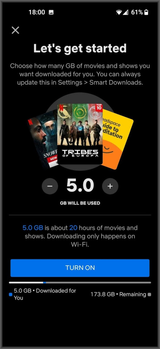 Netflix Downloads for you setup