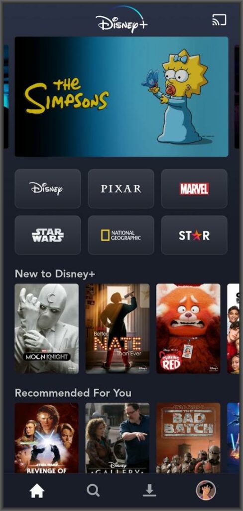 Disney Plus app with Star 2022