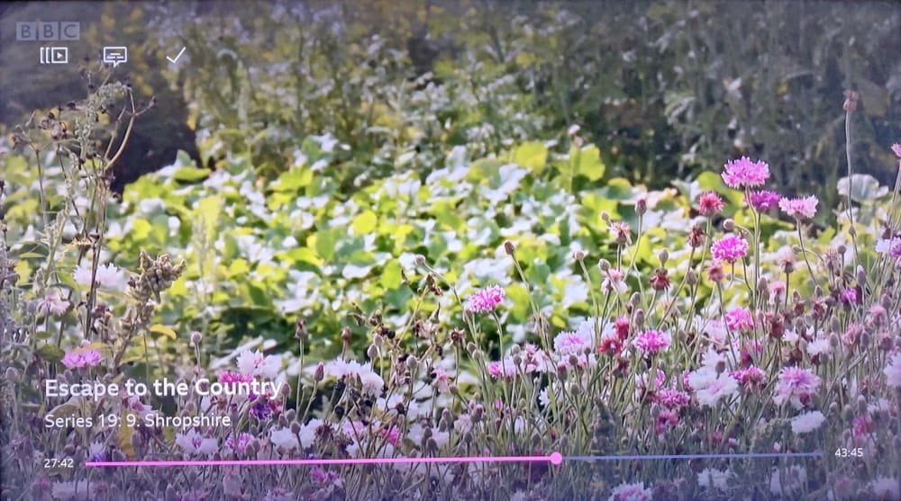 BBC iPlayer playback bar