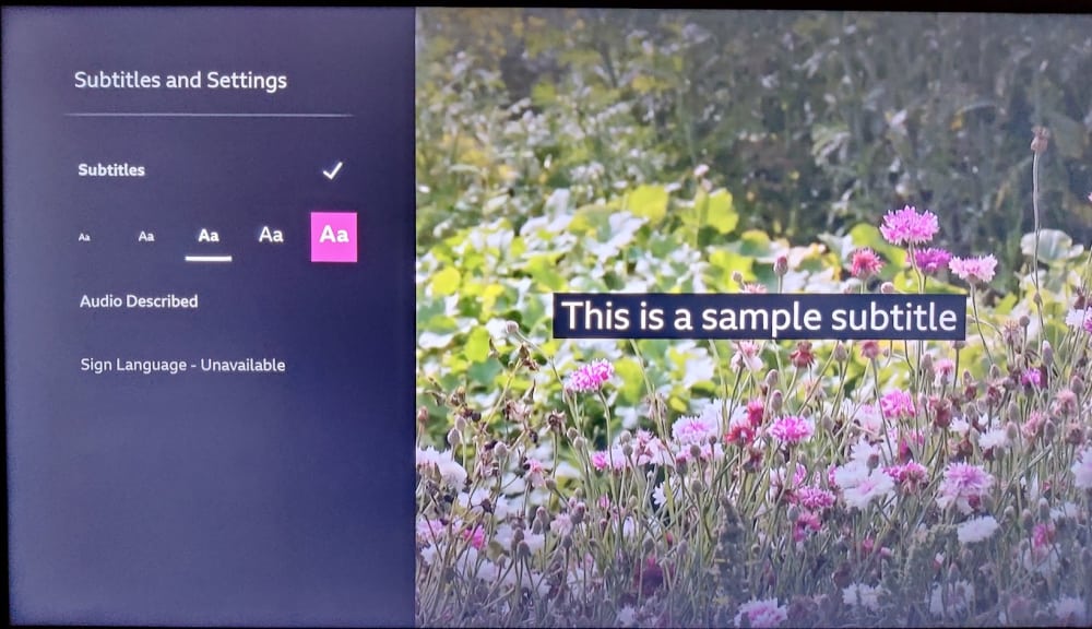 BBC iPlayer subtitles options