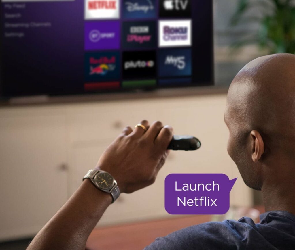 Roku voice search