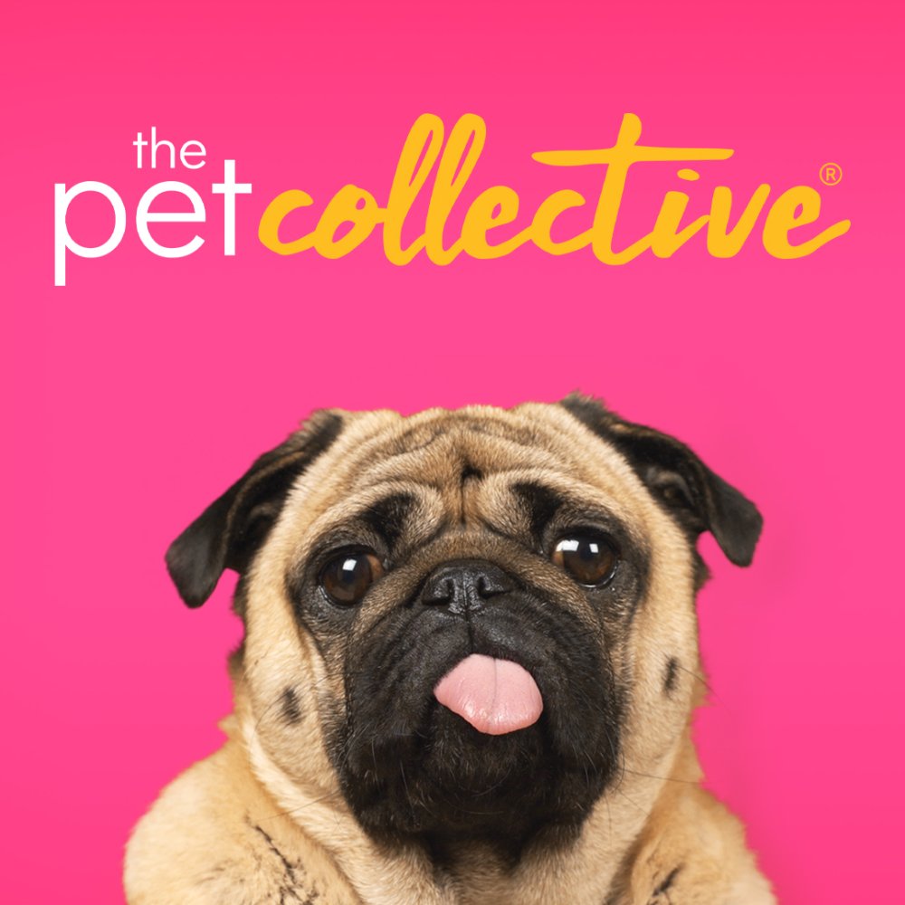 The Pet Collective channel logo