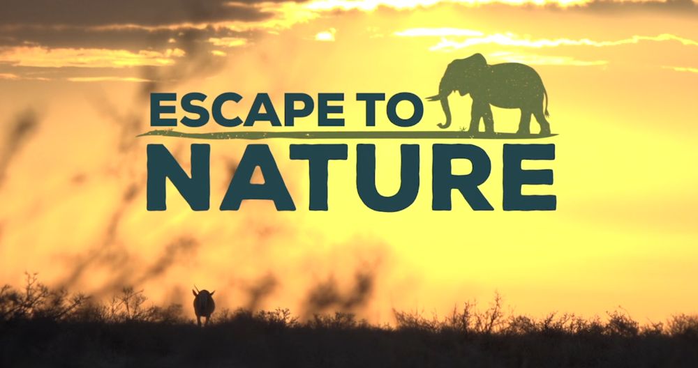 WildEarth escape to nature