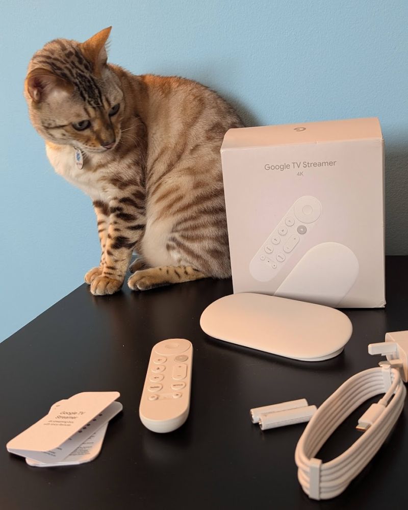 Google TV Streamer cat