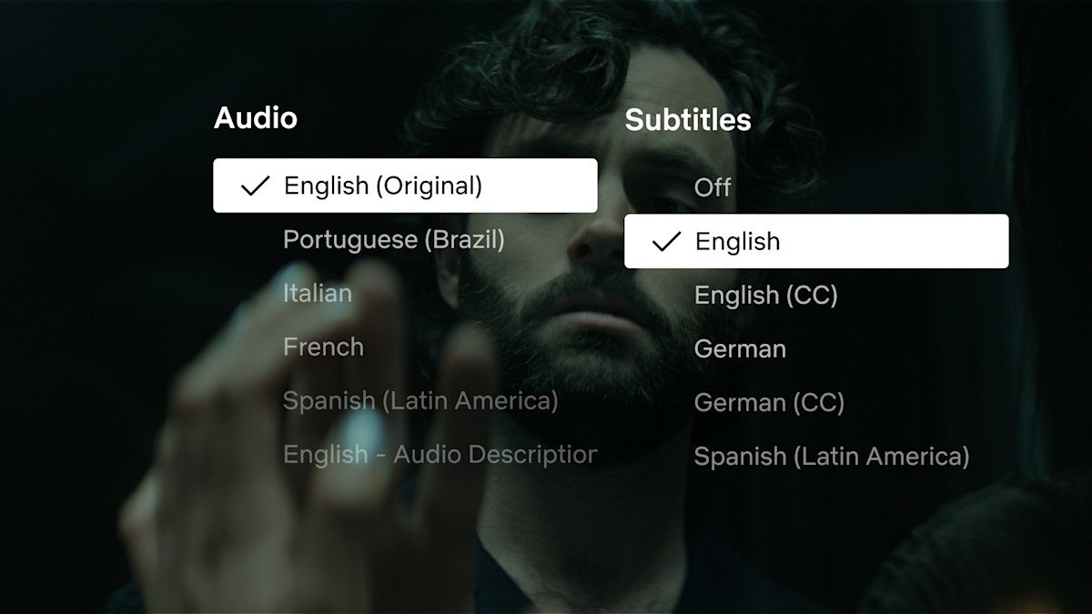Netflix Dialog subtitles