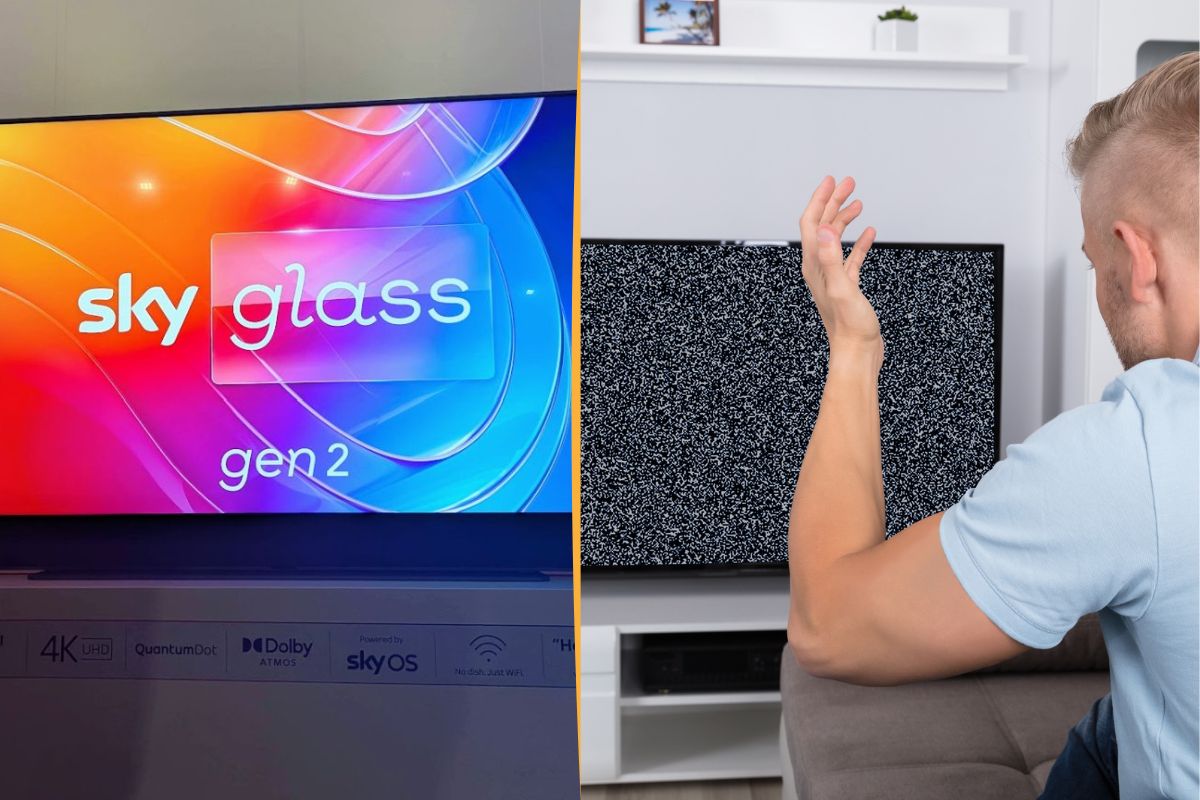 Sky Glass gen 2 bug collage