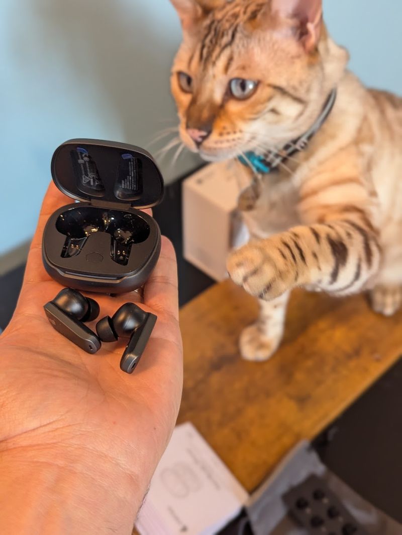 NeoBuds Planar in hand cat