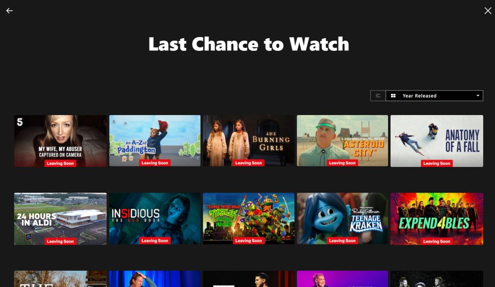 Netflix Last Chance to Watch year released